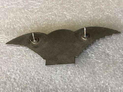 UNIDENTIFIED PARAWINGS - 2 PINS