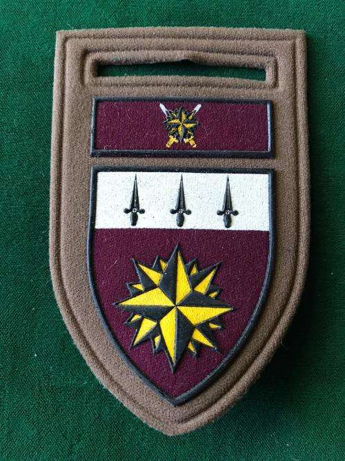 RECCE-SPECIAL FORCES REGIMENT TUPPER FLASH-GUARANTEED ORIGINAL- ONE PIN