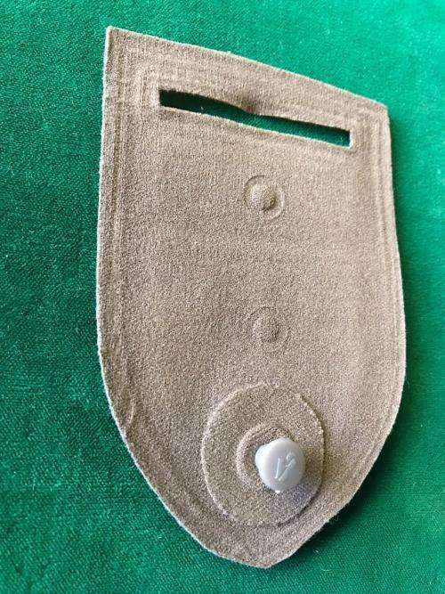 RECCE-SPECIAL FORCES REGIMENT TUPPER FLASH-GUARANTEED ORIGINAL- ONE PIN