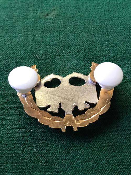 SAAF PROTECTION ,BI/METAL FULL SIZE BREAST BADGE-APPROVED IN 1996- 2 PINS