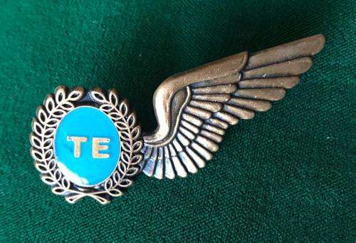 SAAF TECHNICAL ENGINEER,FULL SIZE WING IN BRONZE- 2 PINS
