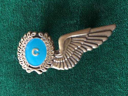 SAAF MESS DRESS WING FOR CHEFF IN BRONZE- 2 PINS