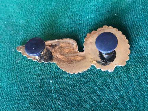 SAAF FLIGHT ATTENDANT FULL SIZE WING IN GOLD- 2 PINS