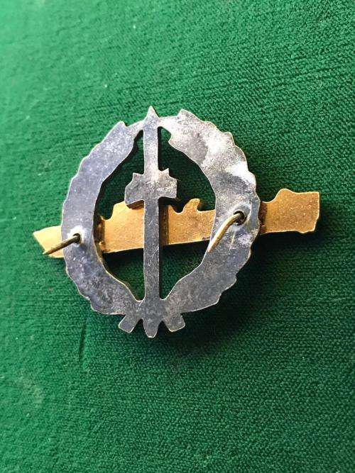 SA NAVY STRIKE CRAFT FLOTILLA BI METAL BREAST BADGE-THIRD TYPE WITH CHROMED WREATH-2 PINS