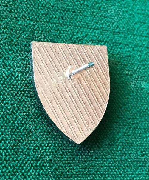 1 RECCE REGT. LAPEL PIN BADGE-ORIGINAL- ONE PIN-MEASURES 19X17 MM