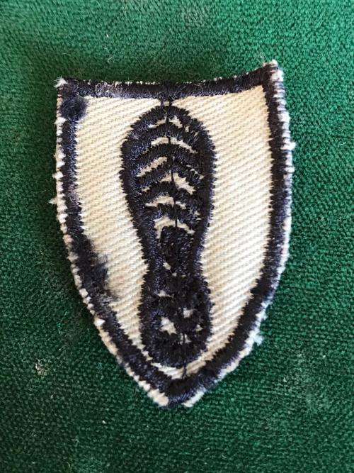 SA ARMY TRACKER FIELD DRESS BADGE