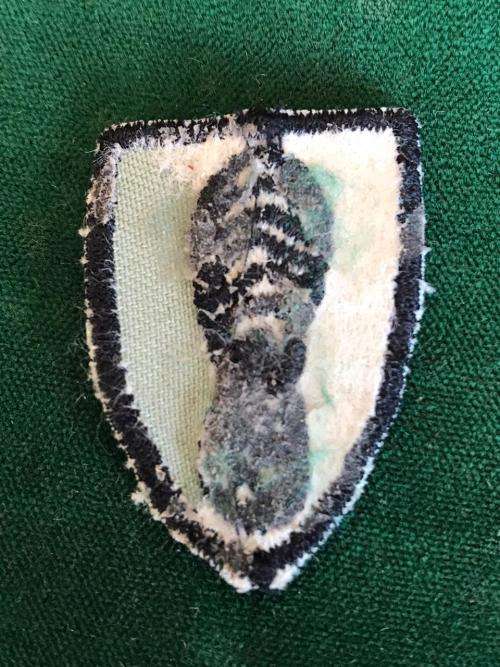 SA ARMY TRACKER FIELD DRESS BADGE