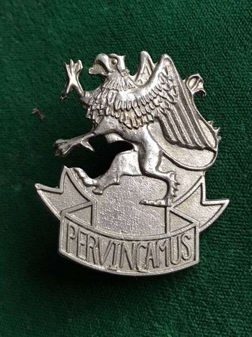 3 SA INFANTRY TRAINING UNIT CAP BADGE-CHROME VARIATION- APPROVED IN 1986- 2 PINS
