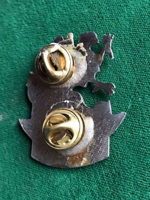 3 SA INFANTRY TRAINING UNIT CAP BADGE-CHROME VARIATION- APPROVED IN 1986- 2 PINS