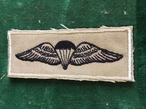 SANDF BASIC PARA WING