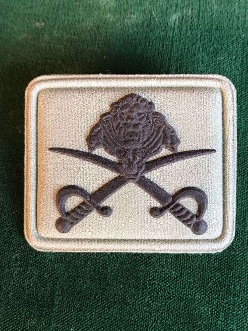 SANDF PT INSTRUCTORS PROFICIENCY BADGE-RUBBERIZED- 2 PINS
