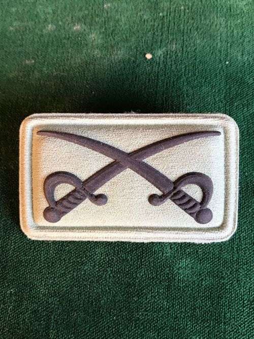 SANDF ASSISTANT PT INSTRUCTOR`S PROFICIENCY BADGE-RUBBERIZED- 2 PINS