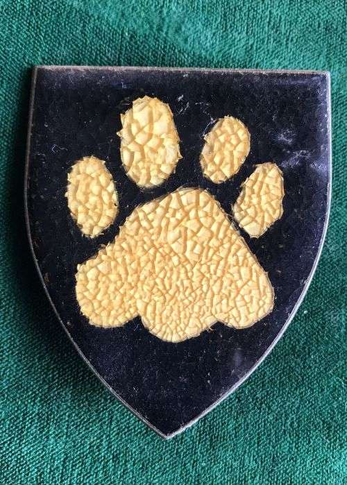 KRUGER NATIONAL PARK COMMANDO FLASH- 2 PINS