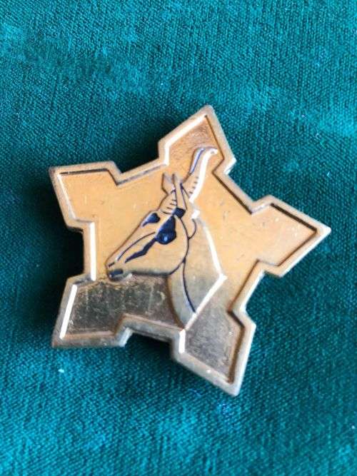ARMY CEREMONIAL CAP BADGE-APPROVED 1983- 1ST TYPE- 2X SCREW LUGS