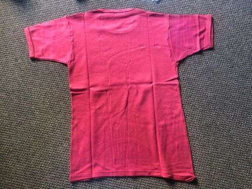 44 PARACHUTE BRIGADE T-SHIRT SIZE MEDIUM-MEASURES 45CM ARMPIT TO ARMPIT-GOOD CONDITION