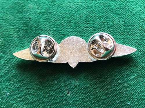 SA PARA FREEFALL,CHROMED AND LUCITE COVERED CENTRE,MESS DRESS-WING-WORN FROM THE 1970`S- 2 PINS