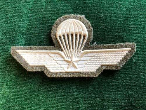 ITALIAN SPECIAL FORCES PARA WING