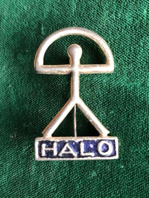SPAIN H.A.L.O. PARA WING 1980`S-STICK PIN INTACT
