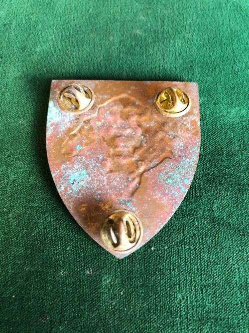 PRIDE OF THE NATION SHOULDER FLASH- 3 PINS
