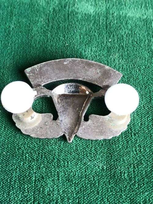USA LONG RANGE RECCE PATROL (U.A.) PARA WING- 2 PINS