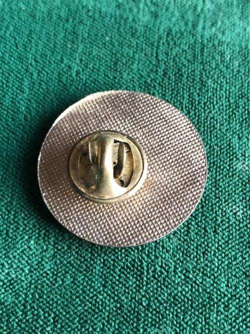 511 TH PARA INF. REGT. STICK PIN
