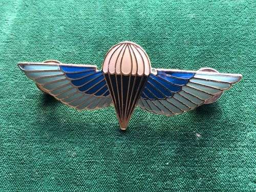 SAS PARA BADGE- 2 PINS