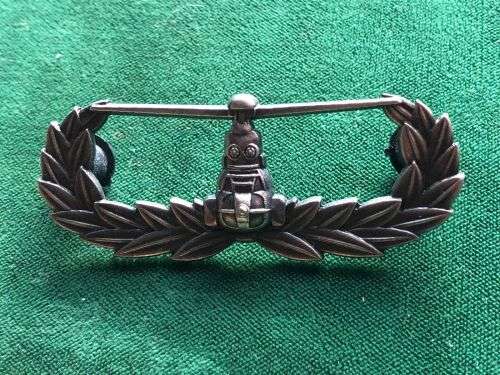 USA AIRBORNE AIR ASSAULT BADGE-LARGE- 2 PINS