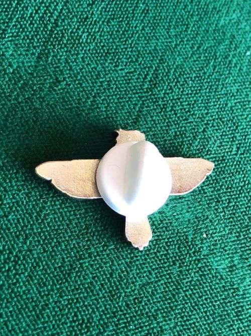 44 PARA BLAZER PIN