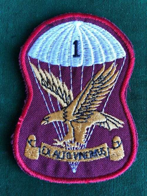 1 PARACHUTE BATTALION TRACKSUIT BADGE