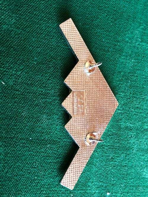 STEALTH BOMBER BADGE- 2 PINS