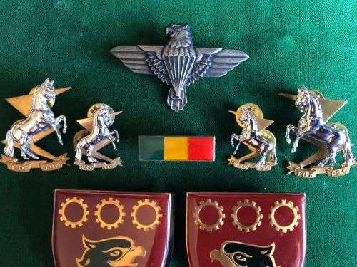 44 PARACHUTE BRIGADE-44 FIELD WORKSHOP CAP,COLLARS,MESS DRESS COLLARS,BERET BAR AND MATCHING FLASH P