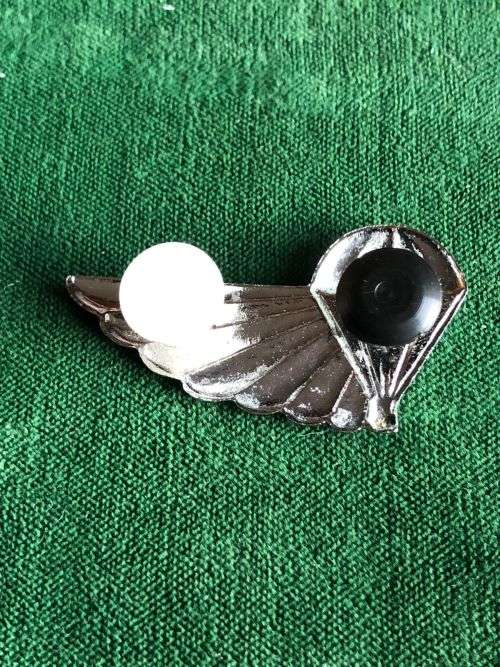 101 AIR SUPPLY CHROME AND ENAMEL HALF WING- 2 PINS