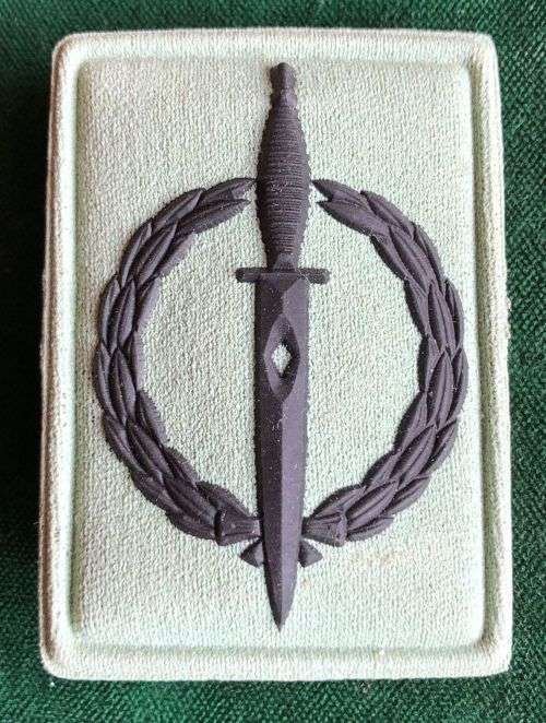 SPECIAL FORCES OPERATOR BADGE-ONE VOID ON THE BLADE TO REPRESENT THE DIAMOND FOR 10 YEAREMBOSSED-RU