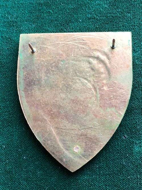 SWA GROOTFONTEIN COMMANDO,FULL SIZE FLASH- 2 PINS