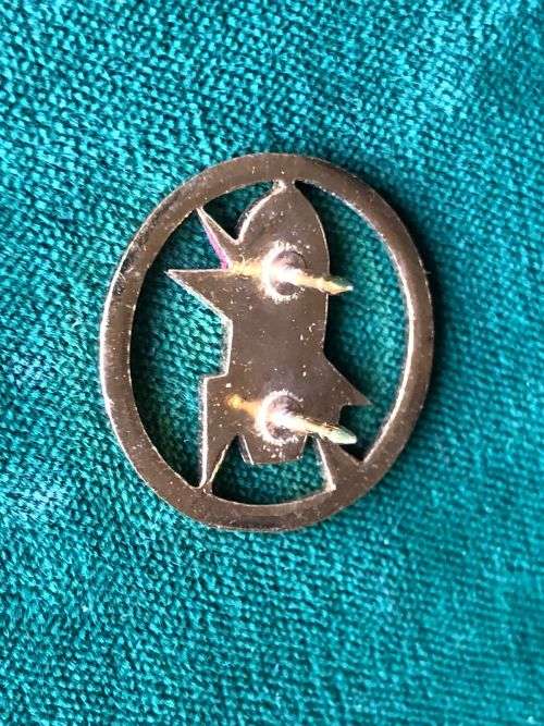 SA ARMY EXPLOSIVE ORDNANCE DISPOSAL BADGE(EOD BADGE)- MESS DRESS WITH FLAT FACE- 2 PINS