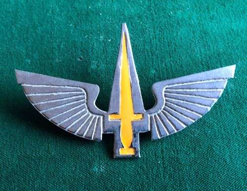 RECCE,PROTOTYPE BERET BADGE,PROPOSED IN 1979,CHROME WINGS,YELLOW SWORD- 2 PINS-IT WAS REPORTED THAT