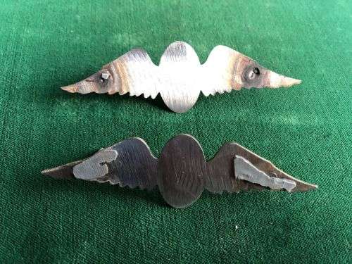 SA PARA WINGS (MOLD) UNKNOWN- 2 SOLD TOGETHER