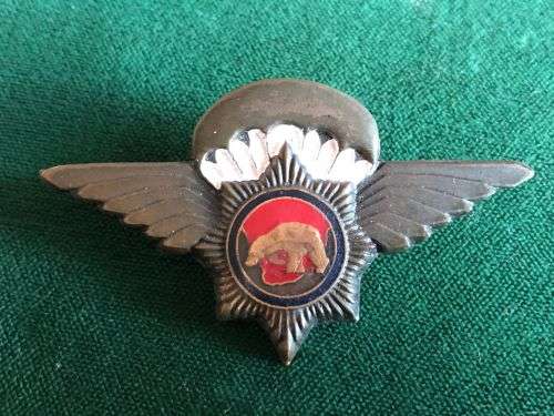 SA POLICE VLAKPLAAS PARACHUTE WINGS-BRONZE AND ENAMEL- 2 PINS