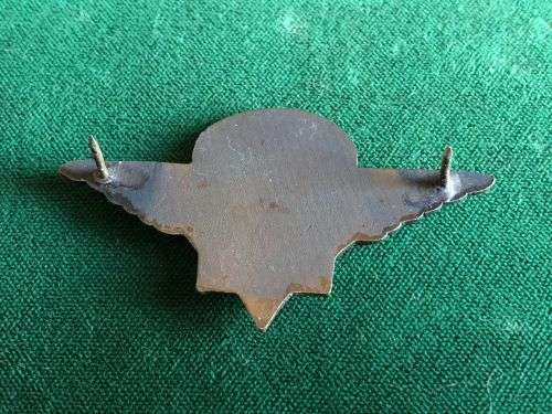 SA POLICE VLAKPLAAS PARACHUTE WINGS-BRONZE AND ENAMEL- 2 PINS