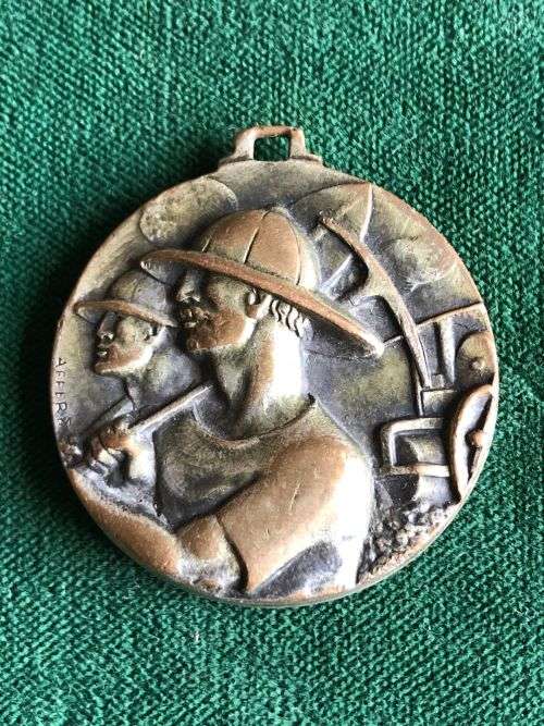 ITALIAN MEDAL-VN STROKE OF PEAK IS WITH VIOLET DEMOSKET-DIAMETER 33MM