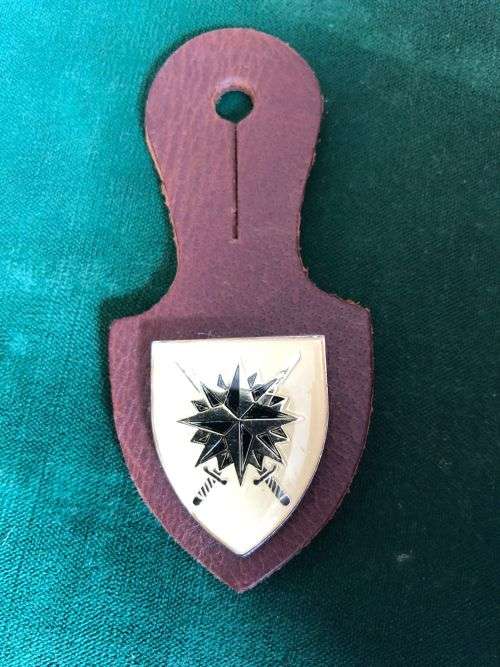 RECCE HQ POCKET/FOB BADGE- 2 PINS
