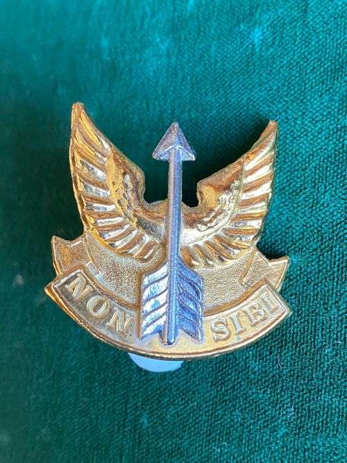 WEMMERPAN COMMANDO BI-METAL CAP BADGE- APPROVED IN 1991- 2 PINS