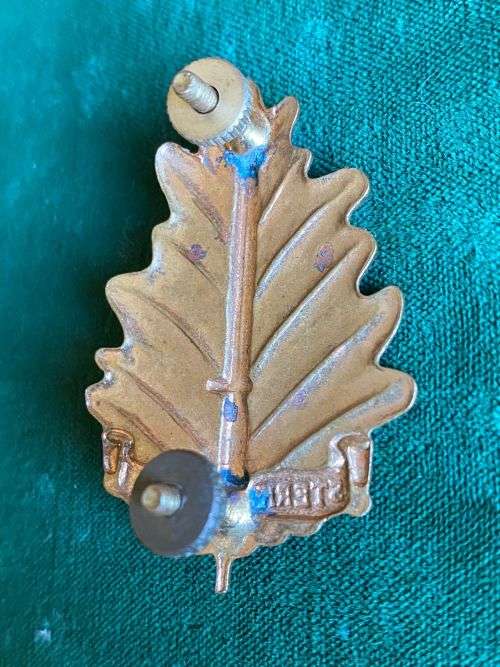 STELLENBOSCH UNIVERSITY REGT. BI-METAL CAP BADGE-WORN FROM 1964- 2X SCREW LUGS