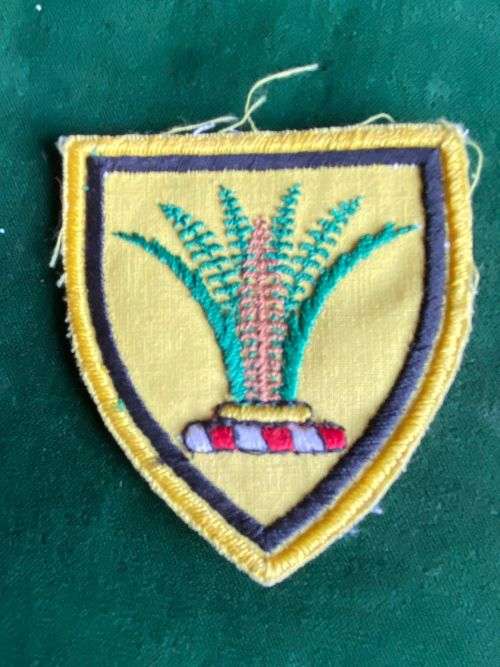 SWA SECTOR 10 PATCH-EMBROIDERED