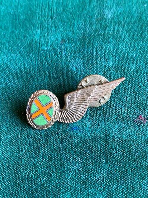 COMMANDO OBSERVER,MESS DRESS BADGE 1977-1990`S- 2 PINS