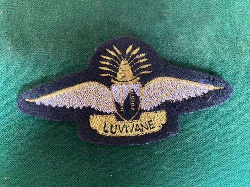 SWAZILAND INSTRUCTOR (GOLD)PARACHUTE WING