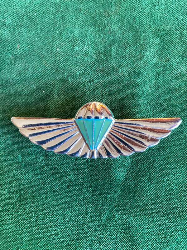 SA ARMY INSTRUCTOR AIR SUPPLY WING- 2 PINS