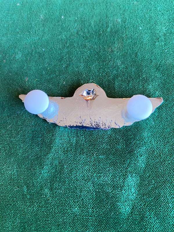 SA ARMY INSTRUCTOR AIR SUPPLY WING- 2 PINS