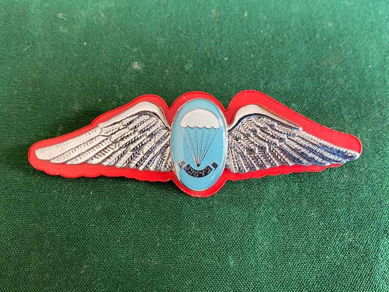PARACHUTE INSTRUCTORS WING-WORN FROM THE 1970`S- 2 PINS