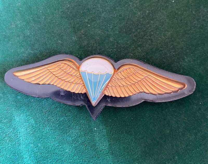 SA BASIC PARA WING-WORN FROM 1980`S- 2 PINS